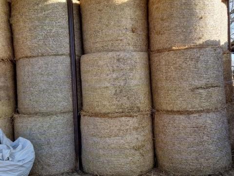 Búzaszalma eladó Búzaszalma eladó