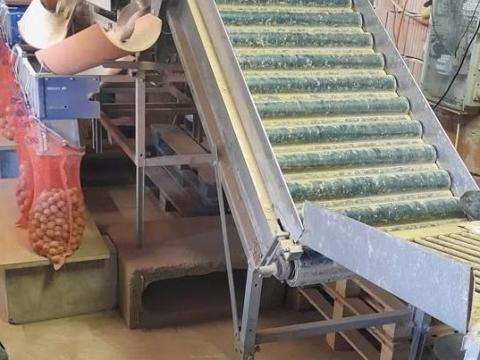 Burgonya és paradicsom válogató eladó Burgonya és paradicsom válogató eladó