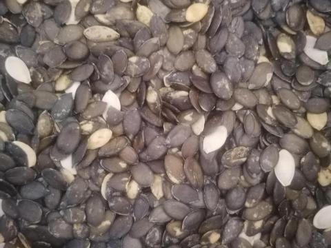 HÉJ NÉLKŰLI OLAJTÖKMAG ELADÓ HÉJ NÉLKŰLI OLAJTÖKMAG ELADÓ