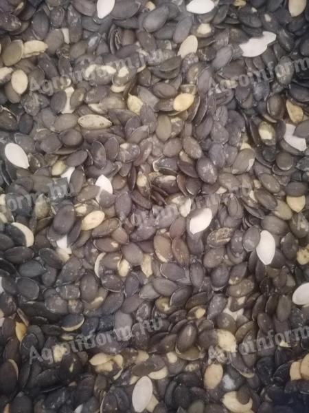 Héjnélküli olajtökmag eladó