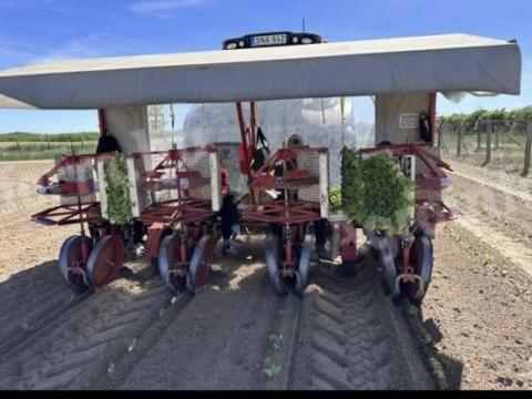 Checchi & Magli 4 soros palántázó kiváló állapotban Checchi & Magli 4 soros palántázó kiváló állapotban