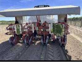 Checchi & Magli 4 soros palántázó kiváló állapotban