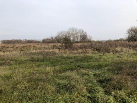 Rét, legelő, nádas Kisvárda közelében eladó Rét, legelő, nádas Kisvárda közelében eladó