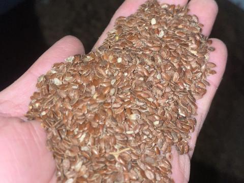 Barna lenmag eladó vegyszermentesen