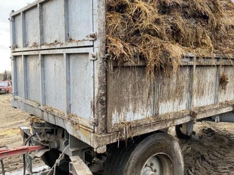 Trágya Eladó Trágya Eladó