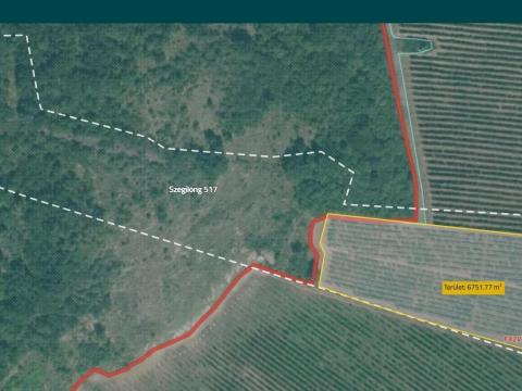 Föld eladó Szegilongon: 2,12 ha szőlő, legelő és fásított terület