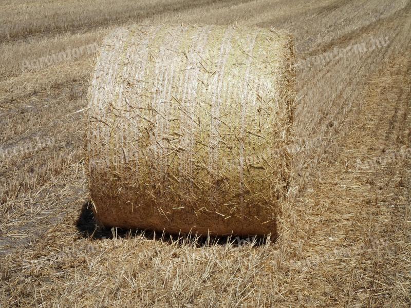 Eladó letakart szalma