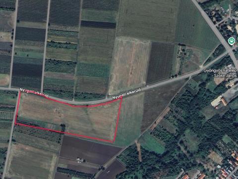 Eladó termőföld Gyöngyös külterületén, 3,3 ha Eladó termőföld Gyöngyös külterületén, 3,3 ha