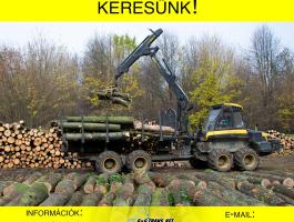 Forwarder gépkezelő – gyakorlattal rendelkező munkatársakat keresünk