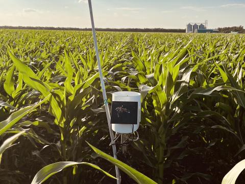 Öntözési szaktanácsadás Öntözési szaktanácsadás