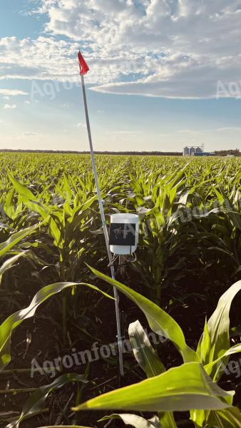 Öntözési szaktanácsadás