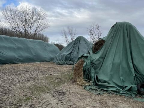 Sásos széna bálák eladók Sásos széna bálák eladók