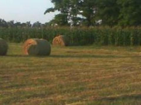 Termőföld, szántó és legelő bérbeadó 9 hektár Termőföld, szántó és legelő bérbeadó 9 hektár