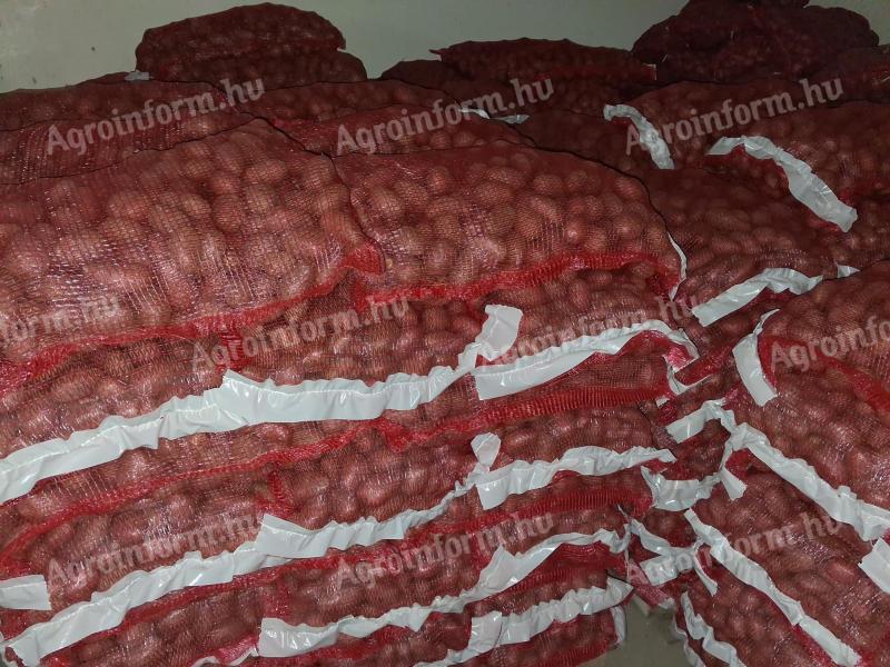 Vetőméretű burgonya eladó