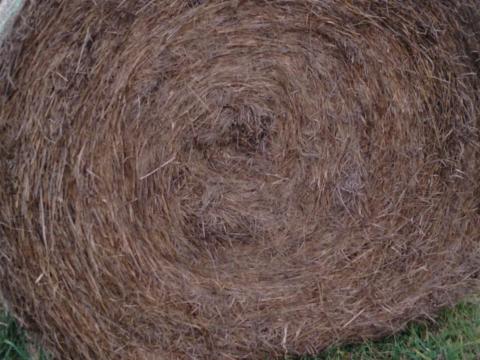 Szénabála eladó Szénabála eladó