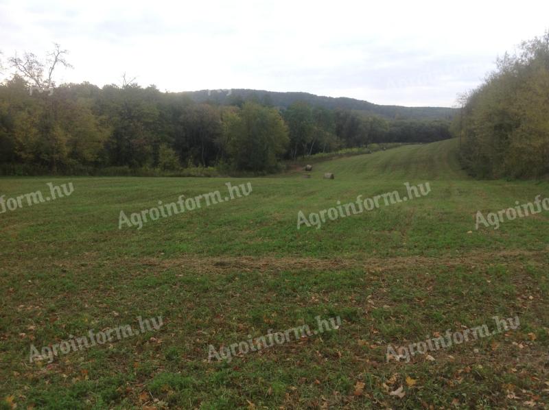 Kiadó Szántó 20,5 Ha Fejér megye Balinka