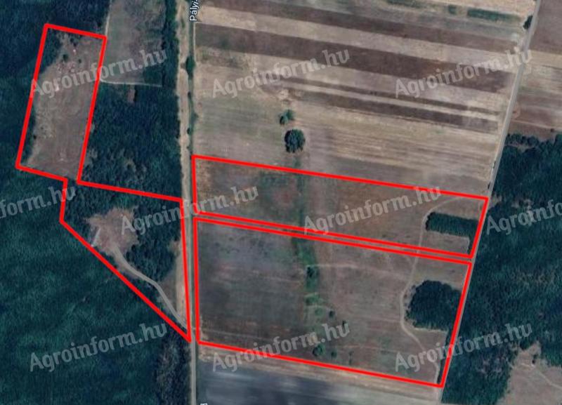Kiadó szántó, legelő és erdő Hosszúpályiban, 17,5 ha bérbeadó