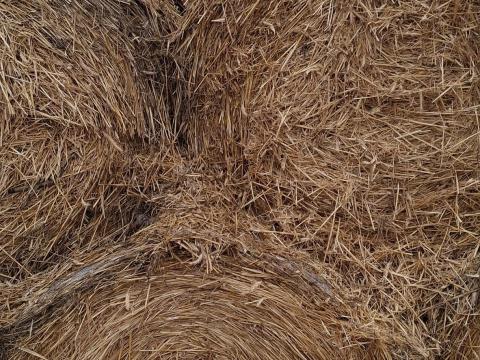 Szalma 120x125-ös, 2025-ös búza és tritikálé