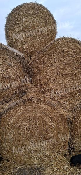 Szalma 120x125-ös, 2025-ös búza és tritikálé