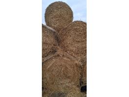 Szalma 120x125-ös, 2025-ös búza és tritikálé