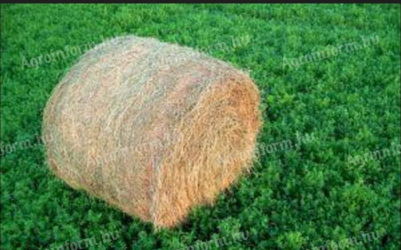 Eladó lucerna bála