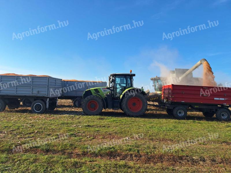 Keresek Petőfiszállás vonzáskörzetében nagyobb egybefügő erdő,rét,szántó,tanya