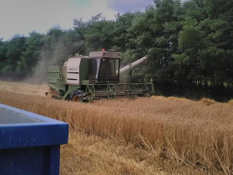 Fortschritt E514 kombájn eladó