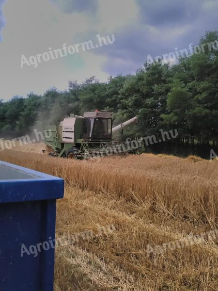 Fortschritt E514 kombájn eladó