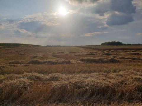 Szántó eladó, 12,753 ha Kisunyom 0111/7 10,9109 ha és Ják 0427/9 és 0427/10 9216 és 9214 m² Szántó eladó, 12,753 ha Kisunyom 0111/7 10,9109 ha és Ják 0427/9 és 0427/10 9216 és 9214 m²