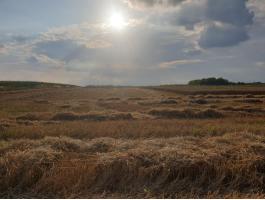 Szántó eladó, 12,753 ha Kisunyom 0111/7 10,9109 ha és Ják 0427/9 és 0427/10 9216 és 9214 m²