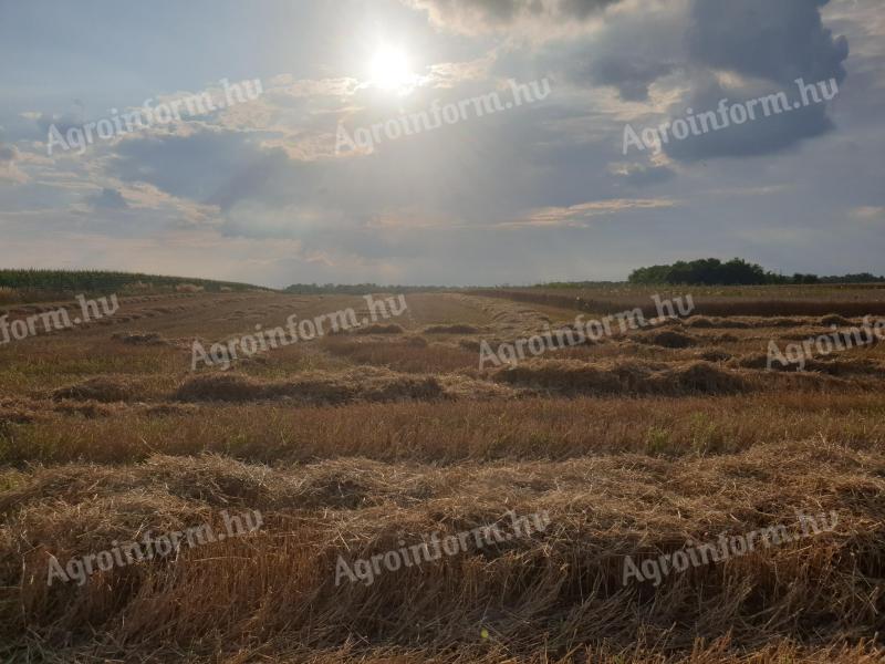Szántó eladó, 12,753 ha Kisunyomban és Jáki területeken (Kisunyom 0111/7: 10,9109 ha, Ják 0427/9 és 0427/10: 9 216 és 9 214 m²)