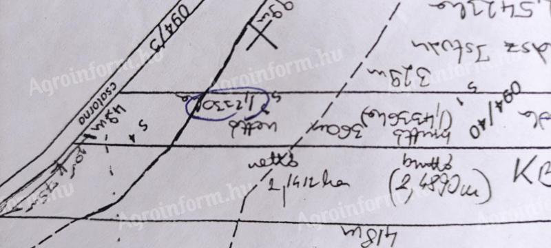Szántóföld eladó Kaba külterületén, 1,433 ha