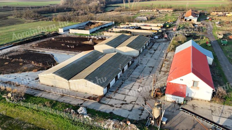 Eladó nyereséges mezőgazdasági vállalkozás 127 hektáros földterülettel