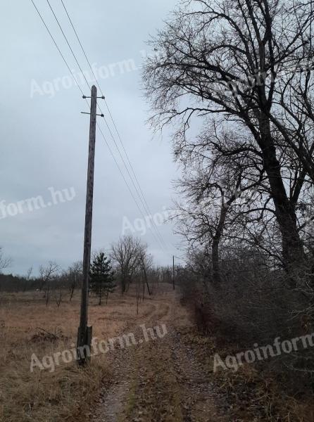 Kecskemèt mellett 2 hektàr mezőgazdasàgi terület