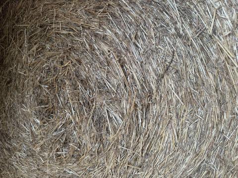 Réti Széna Eladó Réti Széna Eladó