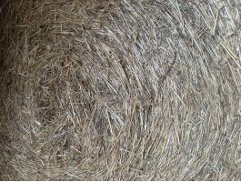 Réti Széna  Eladó