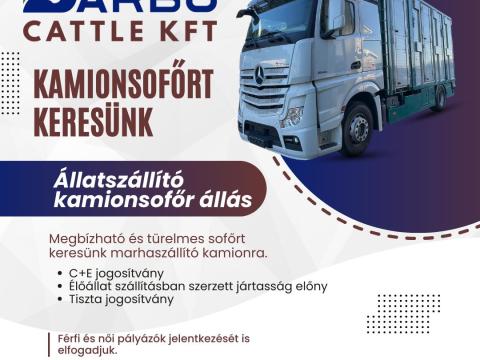 Állatszállító sofőr állás (beugrós)