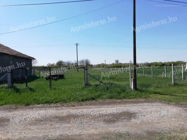 Egerfarmos belterületi telek eladó