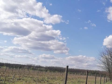 Nyíradony - Külterület szántó