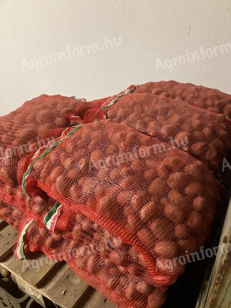 Vetőméretű Balatonirózsa burgonya