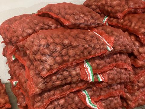 Desire vetőméretű burgonya Desire vetőméretű burgonya