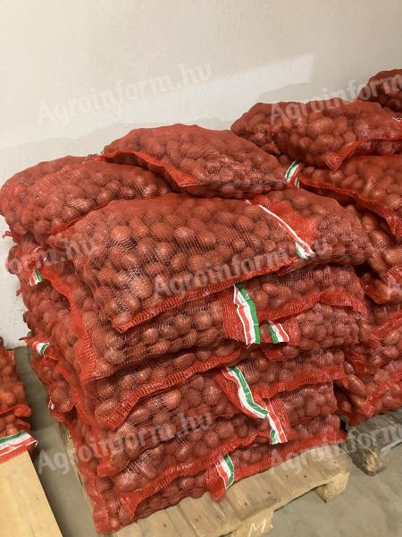 Desire vetőméretű burgonya