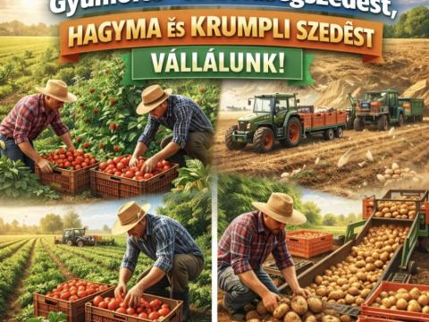 Mezőgazdasági munkákat vállalunk Mezőgazdasági munkákat vállalunk