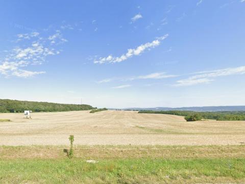 Egybefüggő balatoni birtok eladó (külterület), 6,87 hektár