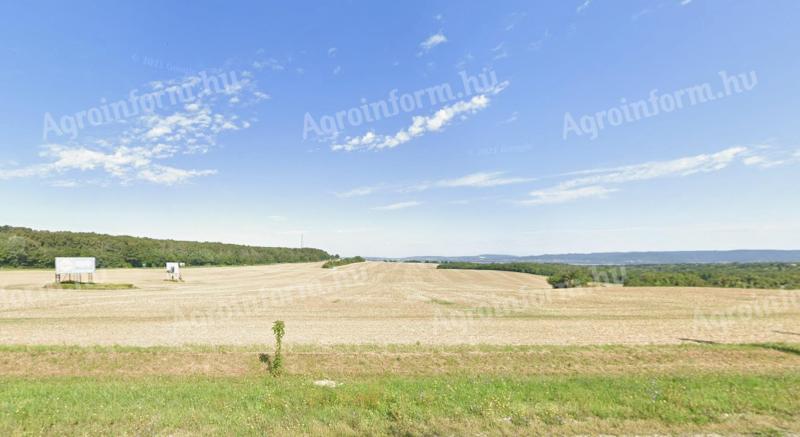 Egybefüggő balatoni birtok eladó (külterület),  6,87 hektár