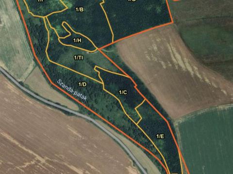 Árcsökkenés! Eladó erdő Terényben, kitermelhető fával