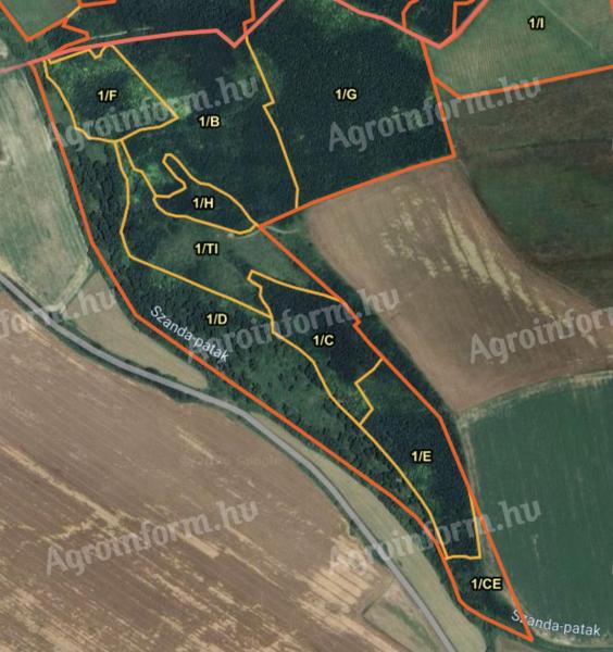 Eladó erdő Terényben letermelhető fával