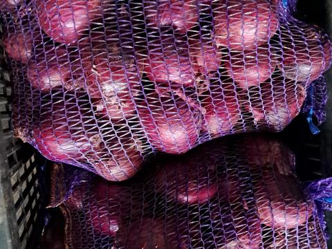 Lilahagyma nagyméretű Lilahagyma nagyméretű