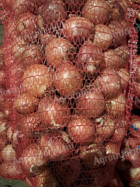 Vöröshagyma, közepes méretű eladó