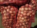 Vöröshagyma, közepes méretű eladó